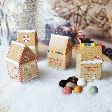 Maison convive de Noël